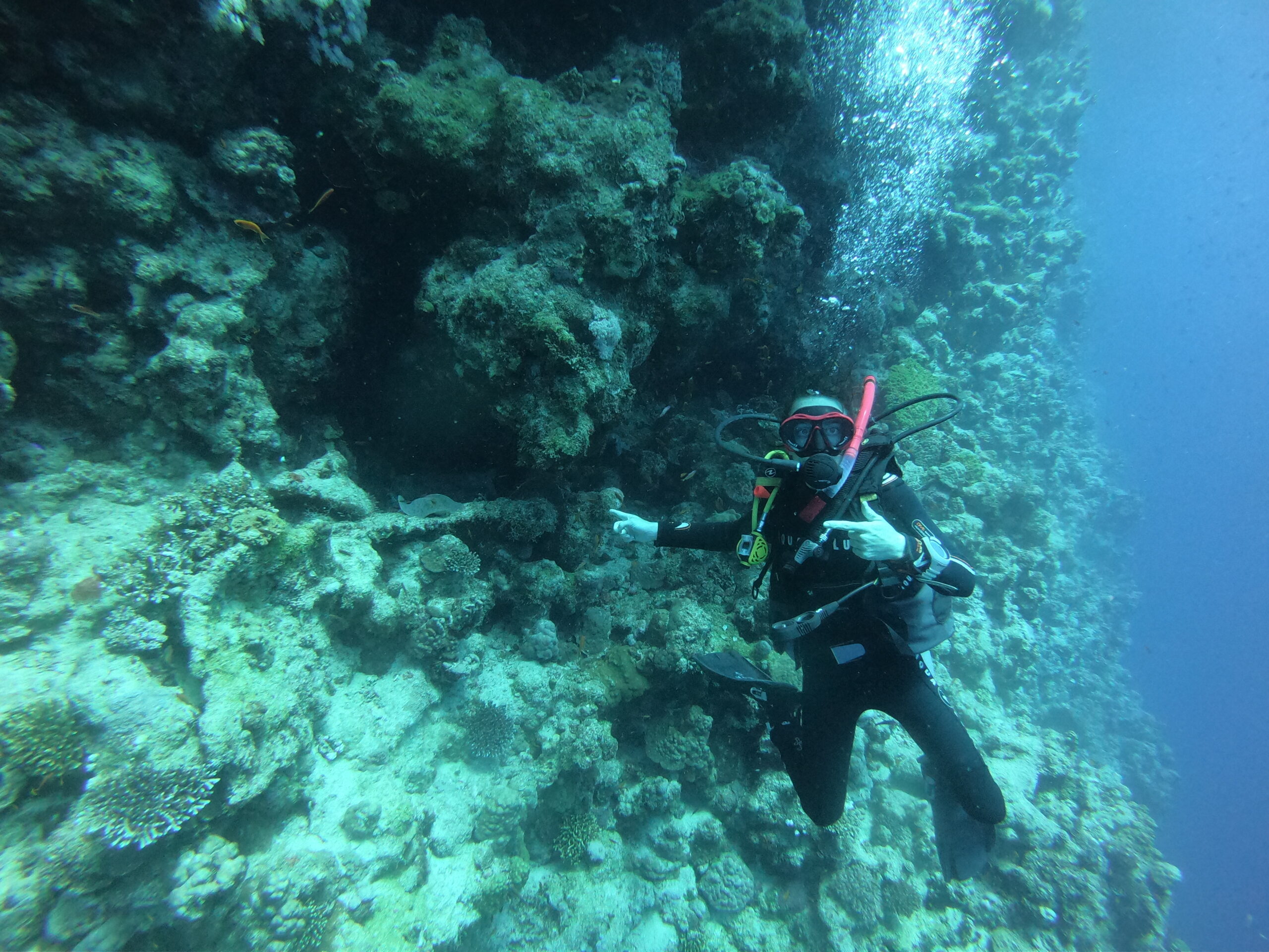 Bailey scuba diving in the Blue Hole in the Red Sea in Sinai, Egypt