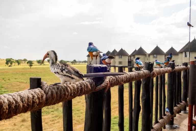 Salt Lick Safari Lodge in Kenya with unique elevated architecture