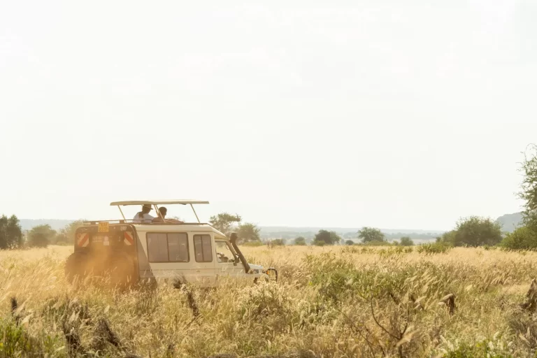 Scenic view of Serengeti National Park with travel van in Africa