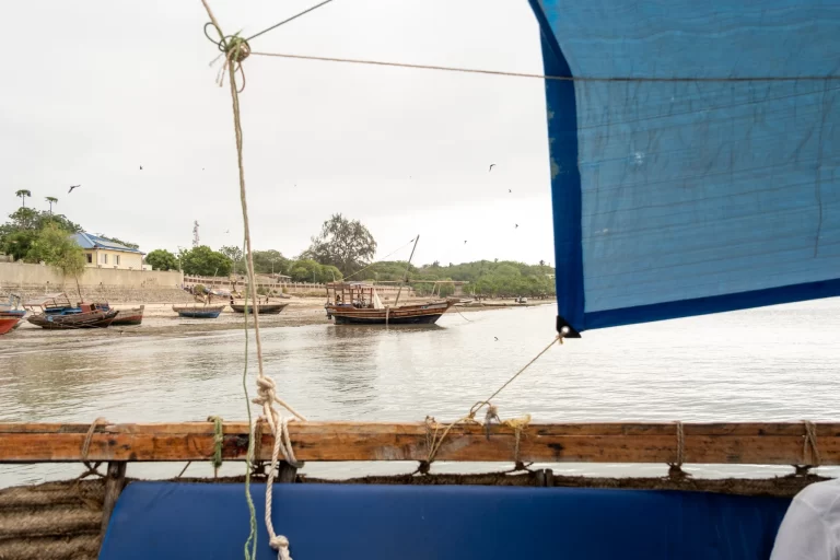 Scenic river view in the African wilderness