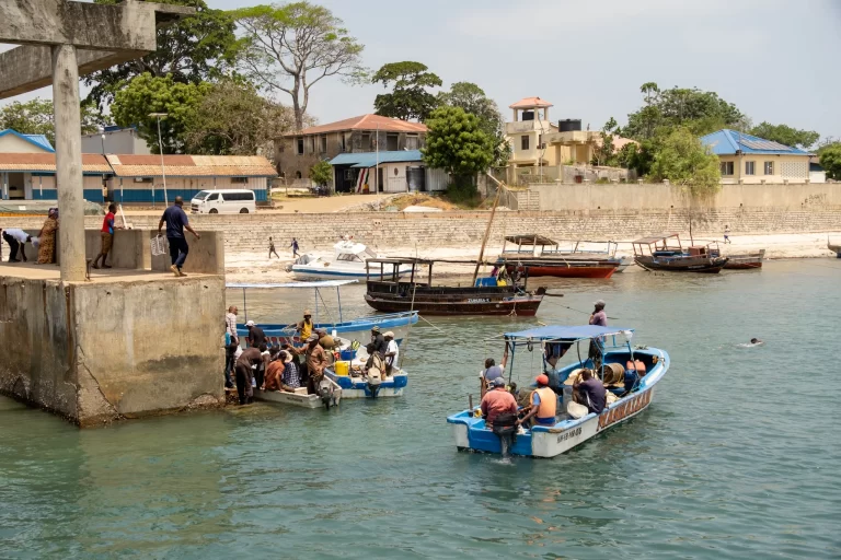 Scenic African landscape view with open plains and natural beauty