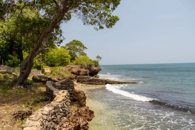 African beachside with sand, sea, and coastal scenery