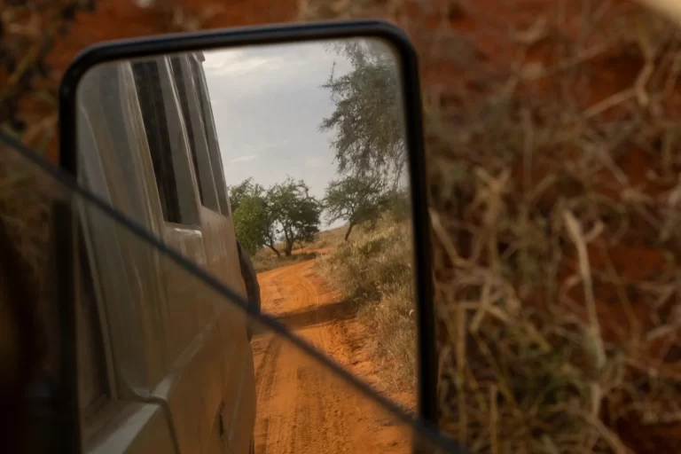 Safari jeep driving across the African savannah under a golden sunset – B. Adventuras