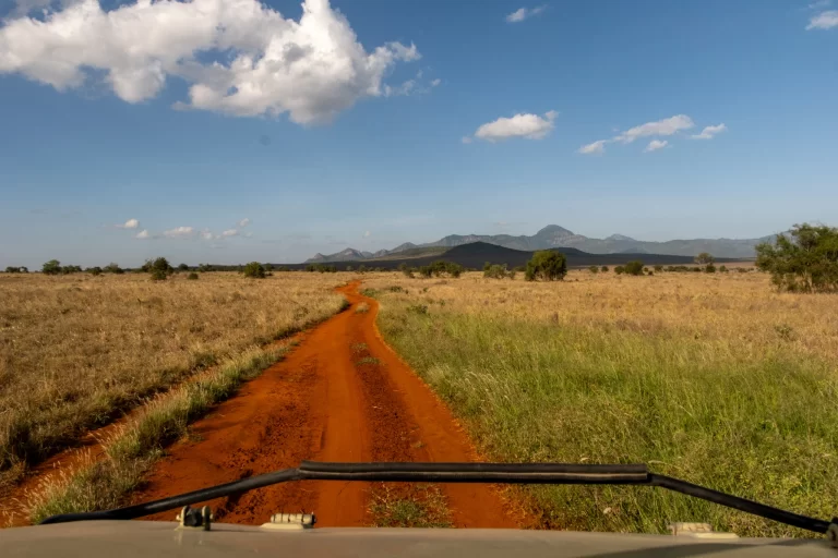 Road through the African landscape during a B. Adventuras journey