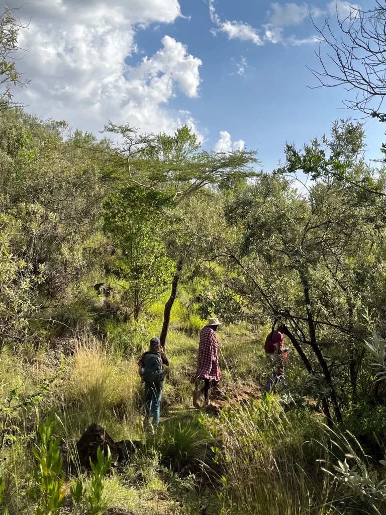 Africa Travel Experience – B. Adventuras