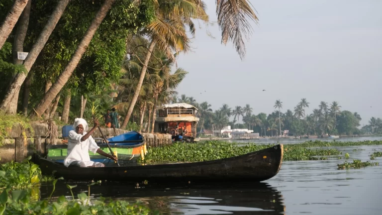Alleppey India backwaters with houseboat and palm trees