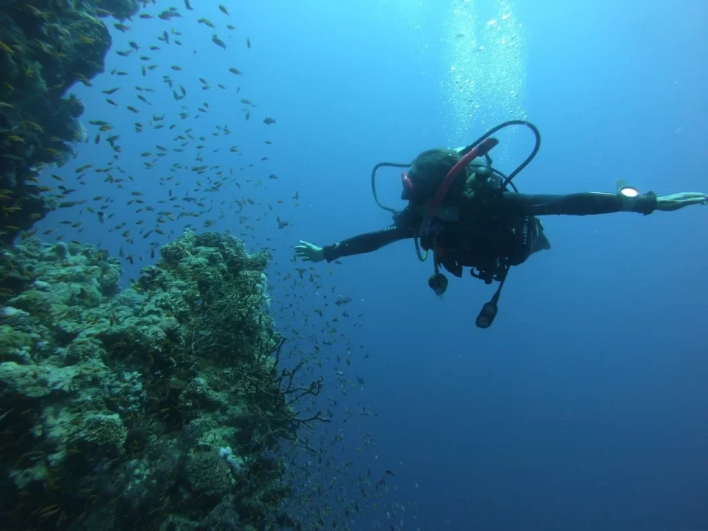 Scuba diver exploring vibrant coral reefs in the Red Sea, Egypt