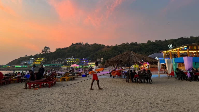 Goa India beach with palm trees and Arabian Sea view