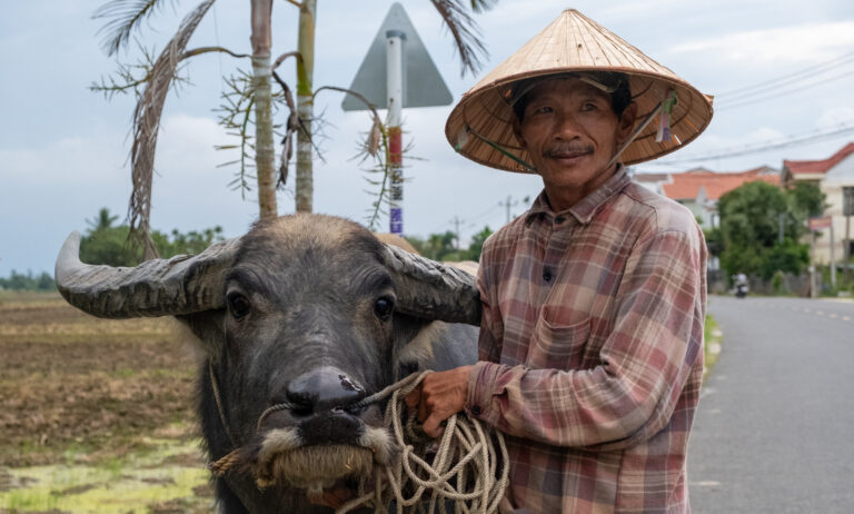 Hoi An Vietnam lantern street with colorful lights at night