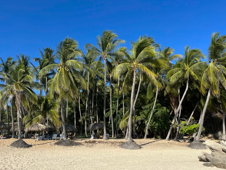 Puerto Escondido Mexico surf beach with ocean waves