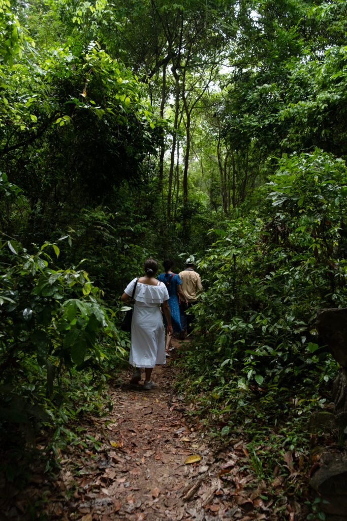 Ancient stone carvings at Angkor temples in Siem Reap Cambodia