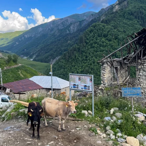 Sabbatical travel in Ushguli, Georgia for burnout recovery, career pause, and redefining success.