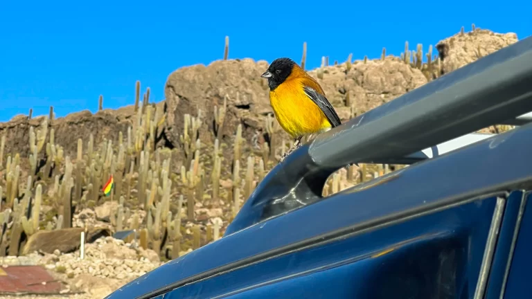 Uyuni Salt Flats Bolivia mirror reflection landscape